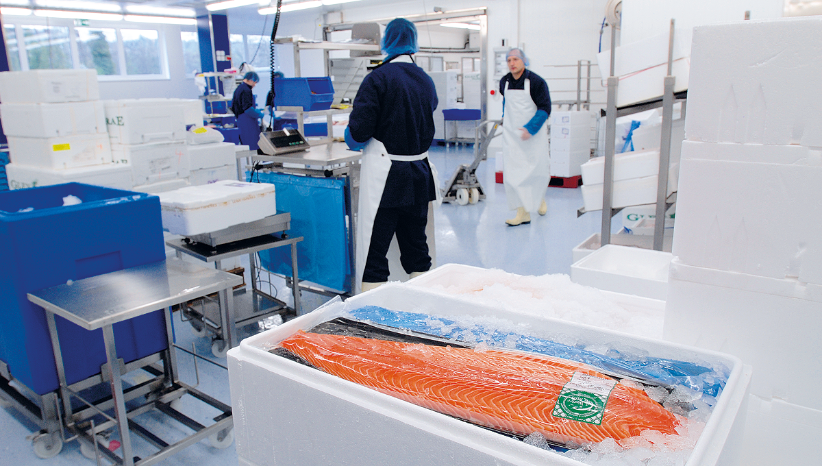 Fisch-Wissen Produktionshalle